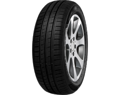 145/65 R15 72T MINERVA 209