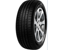 145/60 R13 66T MINERVA F209